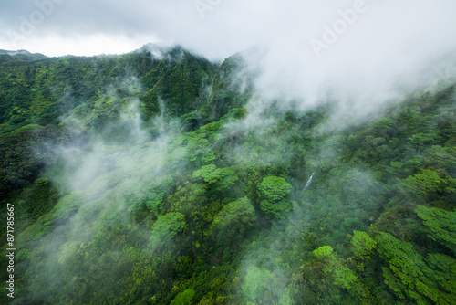 Aerial view of lush green forest with misty mountains and tropical trees, Manoa Waterfall, Hawaii, United States. photo