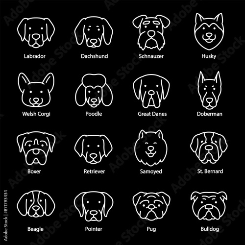 Dog breeds, white line icons. Icons of different dog breeds Labrador, Dachshund, and Husky. pet and animal themes. Symbols on black background. Editable stroke.
