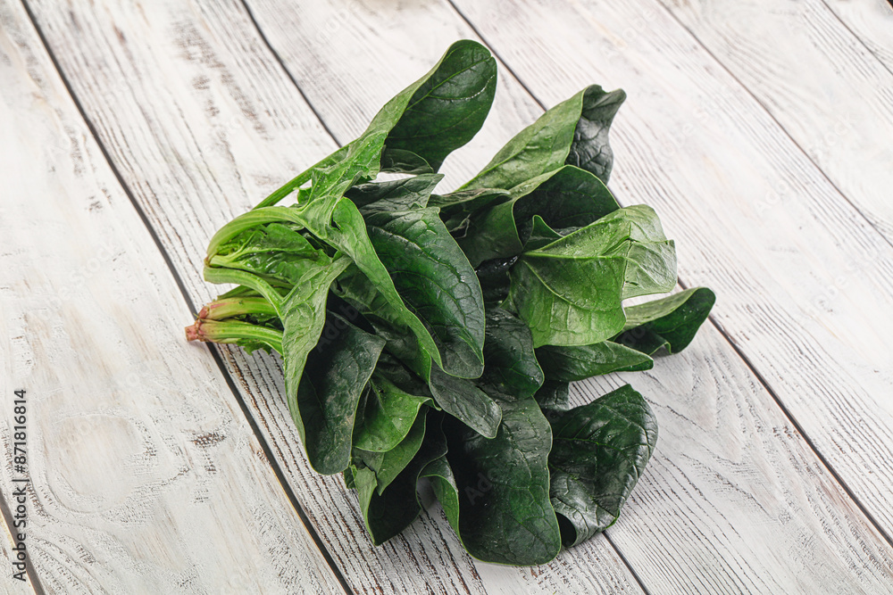 Fototapeta premium Ripe green spinach leaves heap