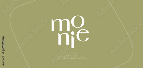 Minimal alphabet letters font logo. Typography luxury elegant  classic lettering fonts decorative abstract urban brand logos. vector illustration