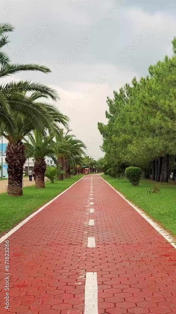 Vertical Full HD video. Red bike path along beach promenade with palm trees. Front view. Concept of summer holiday, vacation, walking, outdoor, mental health, travel, relax. City street. Blue sky. Day Vertical Full HD video. Red bike path along beach promenade with palm trees. Front view. Concept of summer holiday, vacation, walking, outdoor, mental health, travel, relax. City street. Blue sky. Day