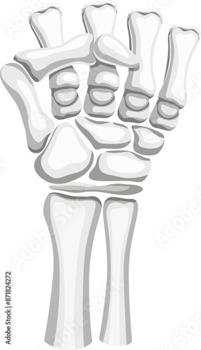 Skeleton clenched hand gesture. Vector ghostly, bony fingers tightly curled into a fist, conveys determination, strength, and resolve. Sign symbolizes a powerful gesturing in Halloween manner