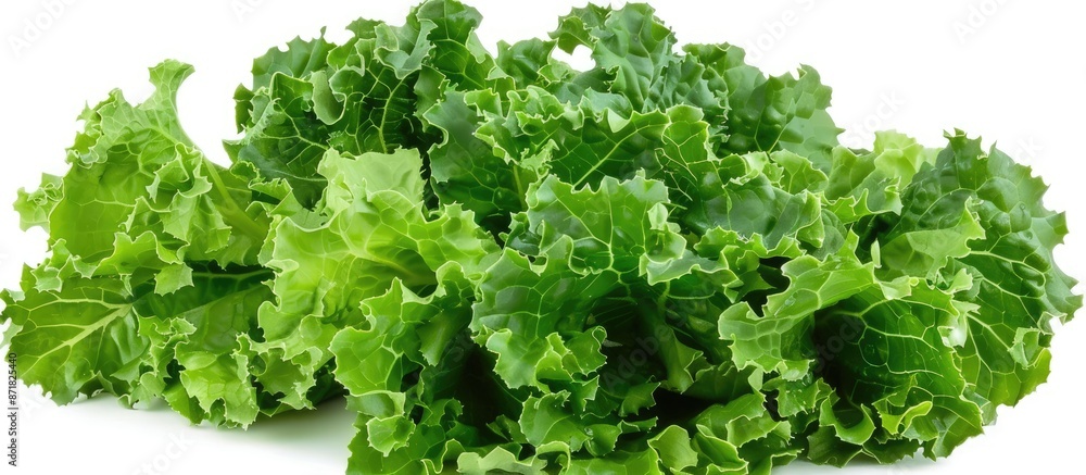 A leafy green vegetable with thick, dark green leaves often used in salads and cooking recipes. A leafy green vegetable with thick, dark green leaves often used in salads and cooking recipes.