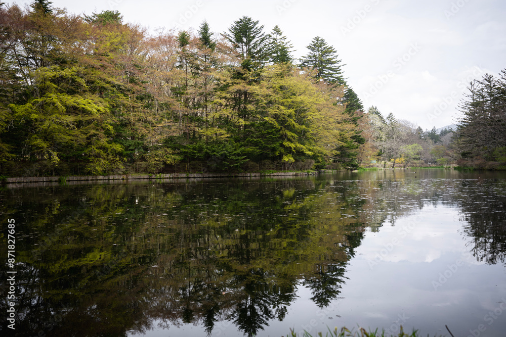 Obraz premium 春の雲場池