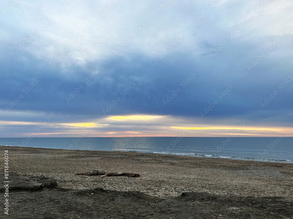 Beach sand dune sea in southern France