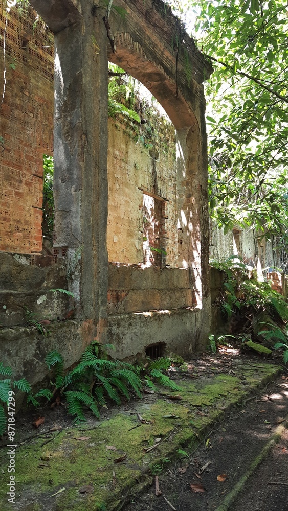 Naklejka premium ruínas de paricatuba, às margens do Rio Negro, em Iranduba, Amazonas