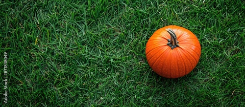 Fall-themed copy space image featuring a pumpkin displayed on lush green grass.