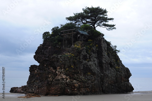 Izumo rock, lonely pine tree and torii shinto gate on Inasa beach in Izumo town, Shimane prefecture, Japan, Asia photo