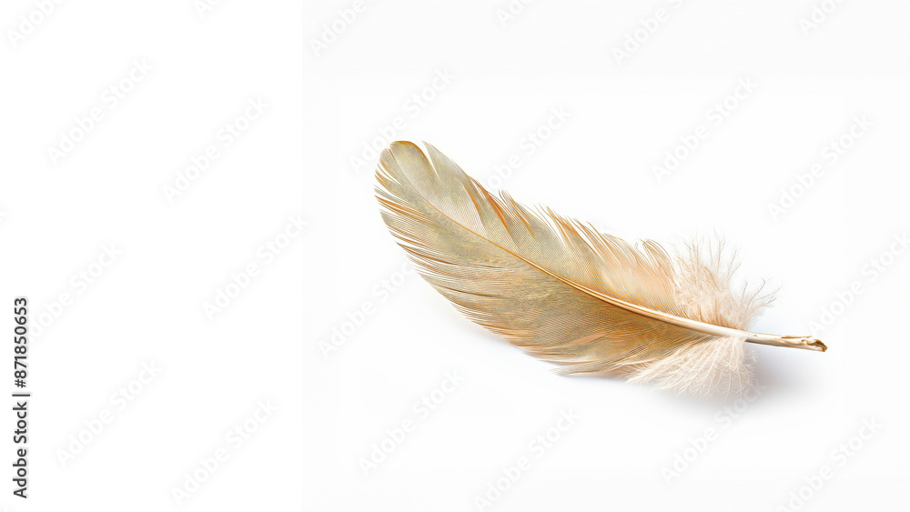 Obraz premium Golden feather on a white background, symbolizing elegance and delicacy, ideal for nature and luxury-themed designs.