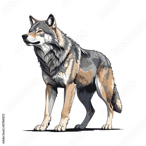 Wolf Digital Vector Illustration