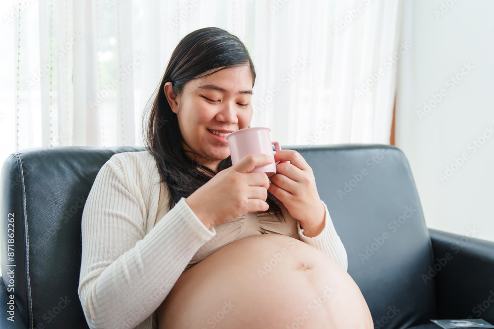 An Asian young pregnant wife relaxes on the sofa at home, filled with love and anticipation, as she embraces the journey of motherhood and prepares for her baby's arrival. An Asian young pregnant wife relaxes on the sofa at home, filled with love and anticipation, as she embraces the journey of motherhood and prepares for her baby's arrival.