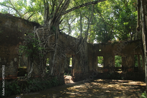 ruínas de paricatuba, às margens do rio negro, em Iranduba, Amazonas  photo