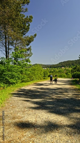 Wallpaper Mural Couple Walking on a Forest Path Torontodigital.ca