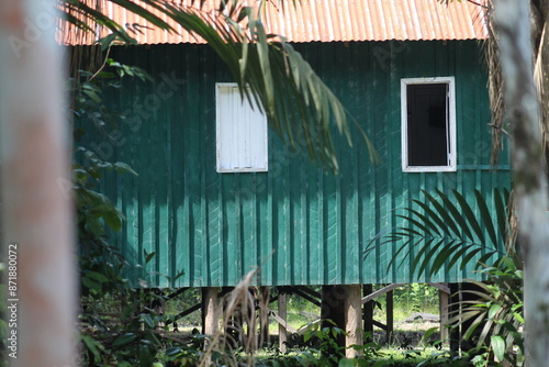 casa de palafita no amazonas  photo