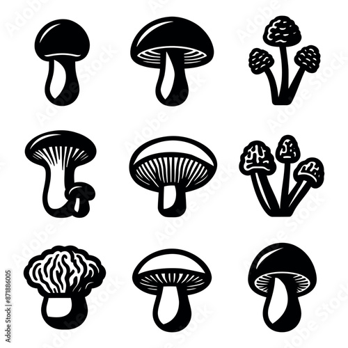 Mushrooms icons set, black simple vector. Autumn plant. Vector illustration