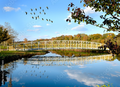 Scenic autumn in the park, Boyd Park, New Brunswick, New jersey
