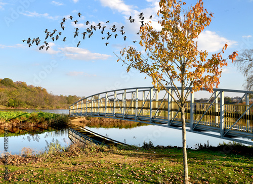 Scenic autumn in the park, Boyd Park, New Brunswick, New jersey photo