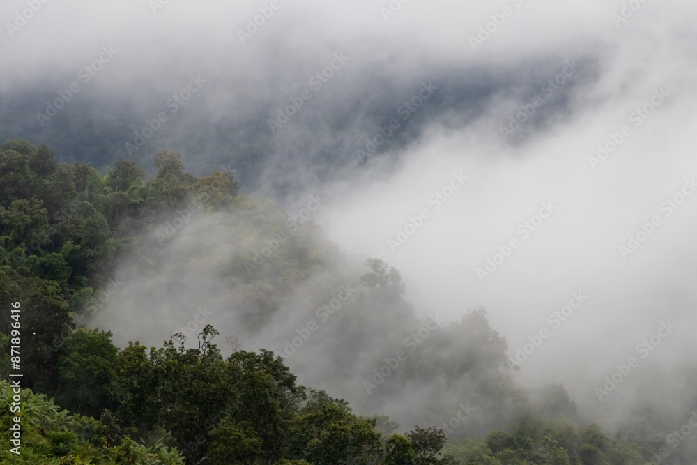 A beautiful mountain landscape with clouds and trees. The image is very peaceful and serene. A beautiful mountain landscape with clouds and trees. The image is very peaceful and serene.