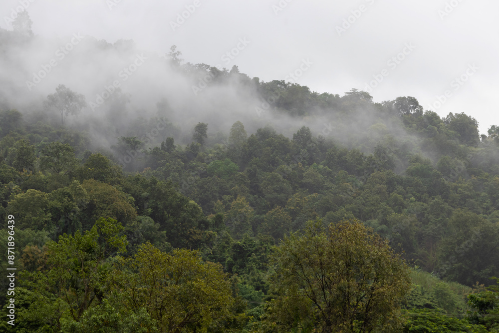 A beautiful mountain landscape with green hills and foggy weather. A beautiful mountain landscape with green hills and foggy weather.