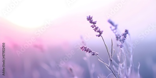 Immerse in a Dreamy Atmosphere with Soft Gradients, Muted Tones, and Subtle Misty Patterns. Concept Dreamy Atmosphere, Soft Gradients, Muted Tones, Subtle Patterns, Misty Aesthetics