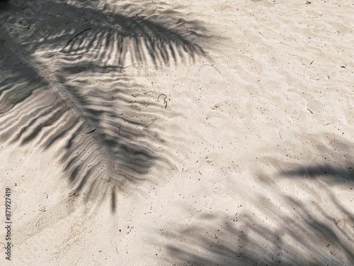 shadows of palm trees on the sand at Playa del Carmen, Mexico photo