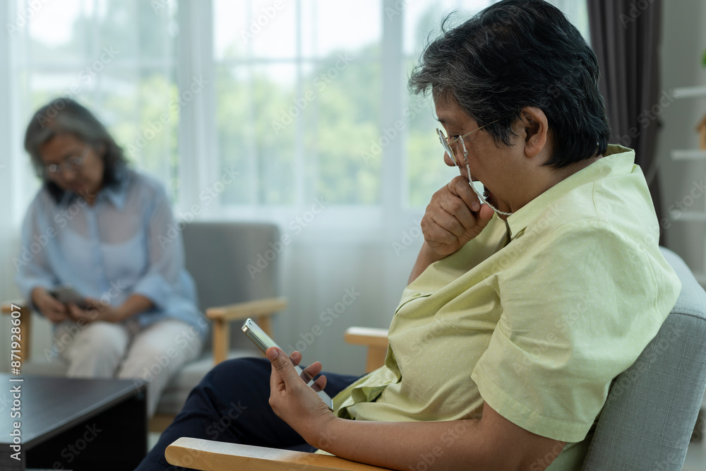 Senior Woman Ecstatically Celebrates Good News on Smartphone Senior Woman Ecstatically Celebrates Good News on Smartphone