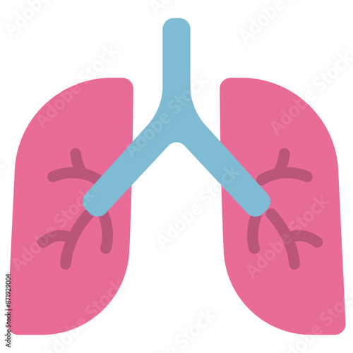 lungs flat icon