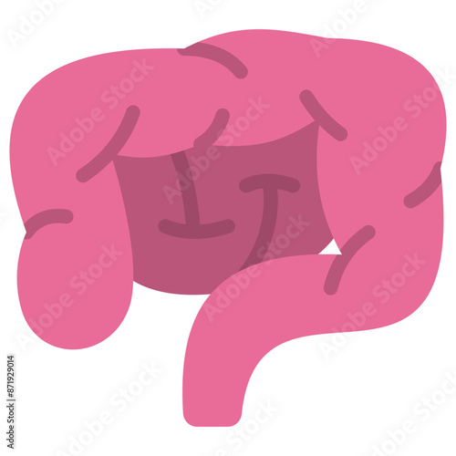 intestines flat icon
