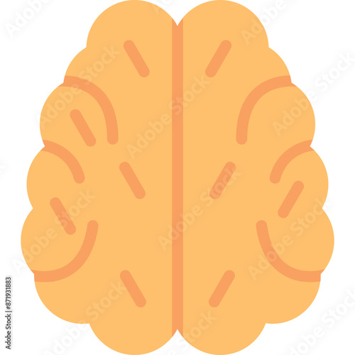 Brain Icon