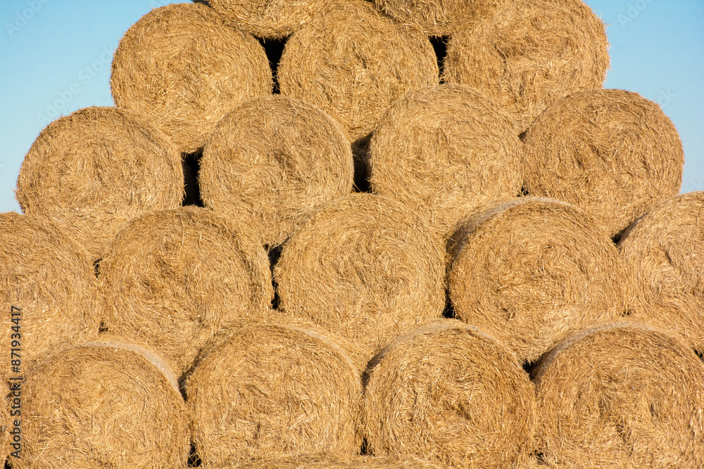 haystacks stacked in a large pile, haymaking, hay harvesting for the winter for the farm. High quality photo haystacks stacked in a large pile, haymaking, hay harvesting for the winter for the farm. High quality photo