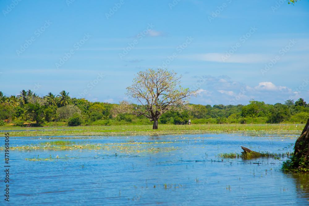 traditional Sri Lankan landscape. Small blue lake and trees around. traditional Sri Lankan landscape. Small blue lake and trees around.