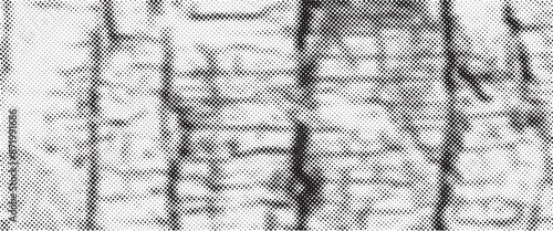 Monochrome gradient halftone dots background. Vector illustration.