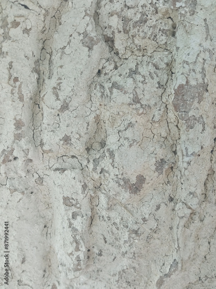 Naklejka premium Painted tree bark. The texture of whitewashed wood. Peeling, peeling white paint. Place for text, background, texture, close-up.