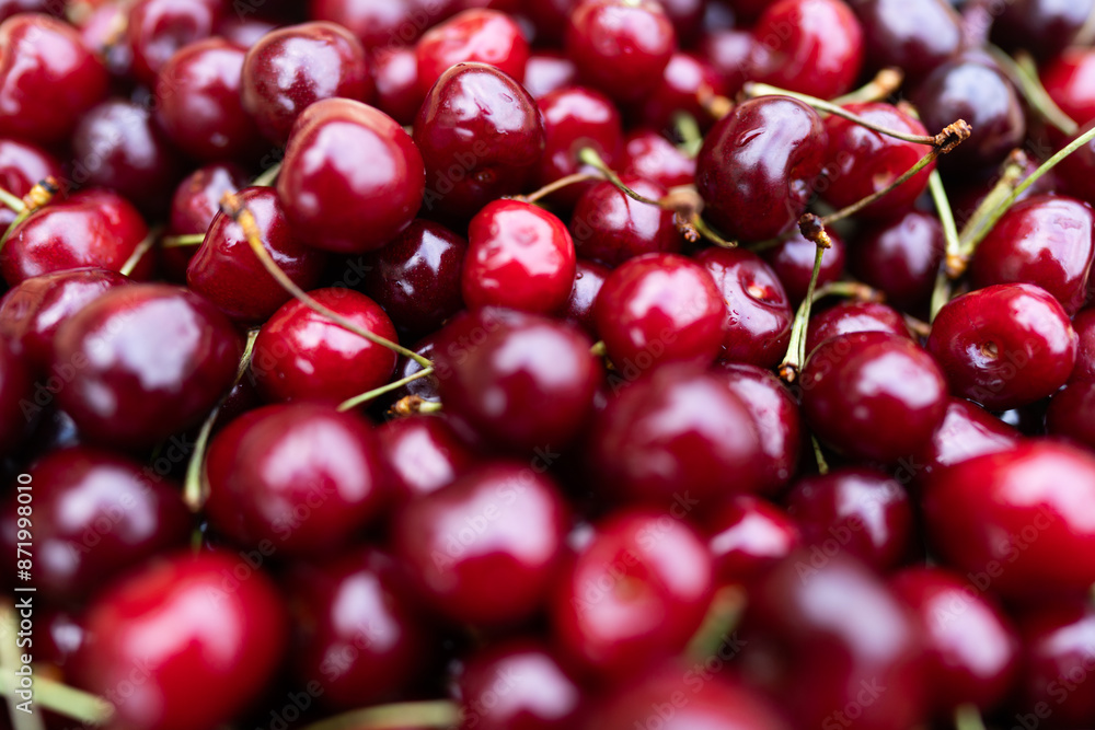 Cherry with drops water, background, texture. Lots of cherries on sunset. Cherry background. Beautiful Red berries background. Delicious Cherry berry background. Bunch of red cherries in bright light Cherry with drops water, background, texture. Lots of cherries on sunset. Cherry background. Beautiful Red berries background. Delicious Cherry berry background. Bunch of red cherries in bright light