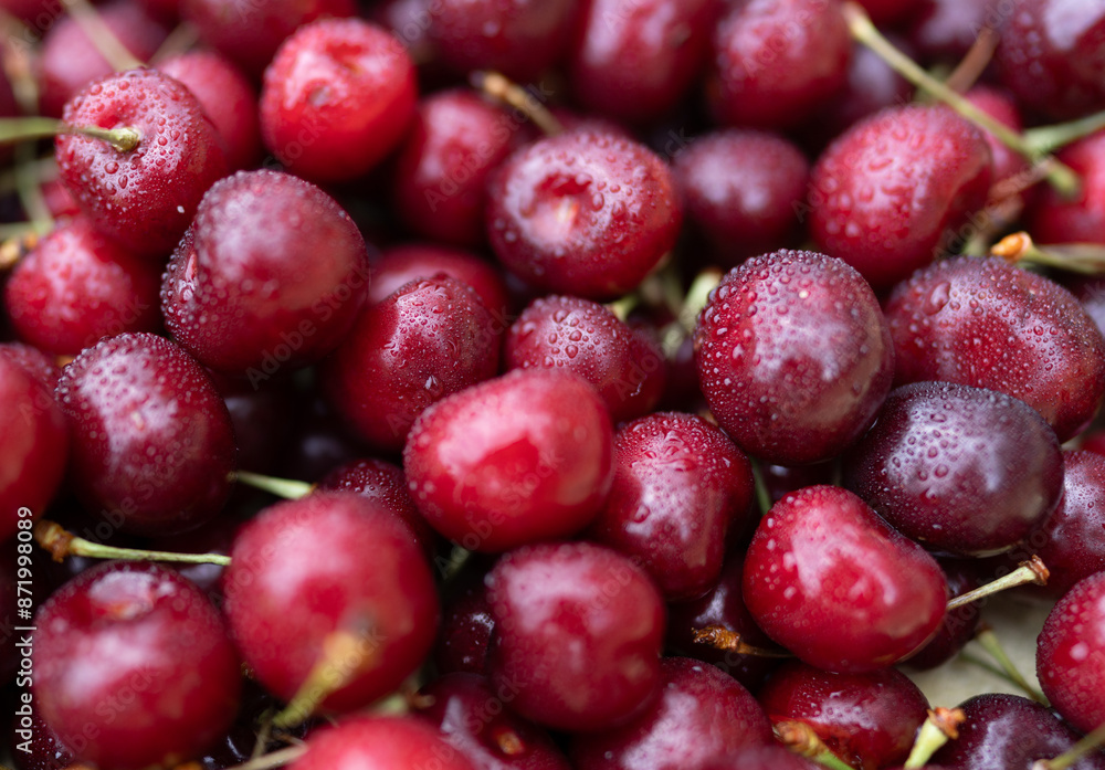 Cherry with drops of water, background, texture. Lots of cherries, top view. Cherry for background and screensaver. Cherry berry wallpaper, background. Bunch of red cherries with water drops. Cherry with drops of water, background, texture. Lots of cherries, top view. Cherry for background and screensaver. Cherry berry wallpaper, background. Bunch of red cherries with water drops.