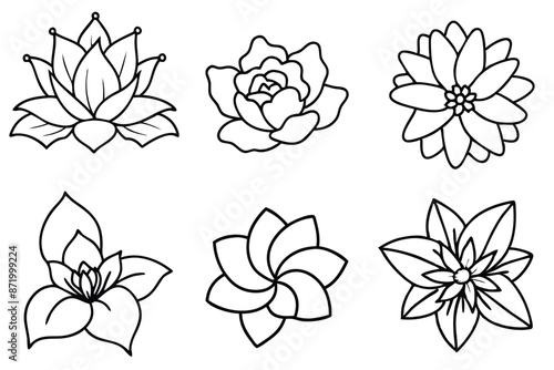 Floral Line Art Intricate floral designs with finesse