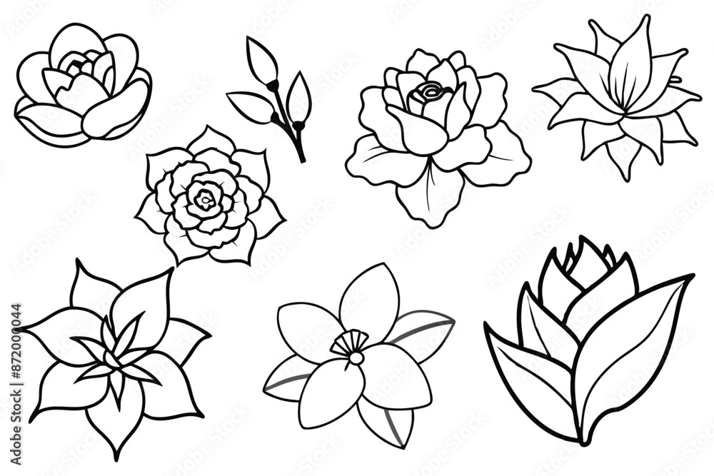Floral Line Art Minimalist floral renditions with elegance Floral Line Art Minimalist floral renditions with elegance