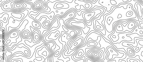 White topology and topography vector design abstract background contour map texture for print works