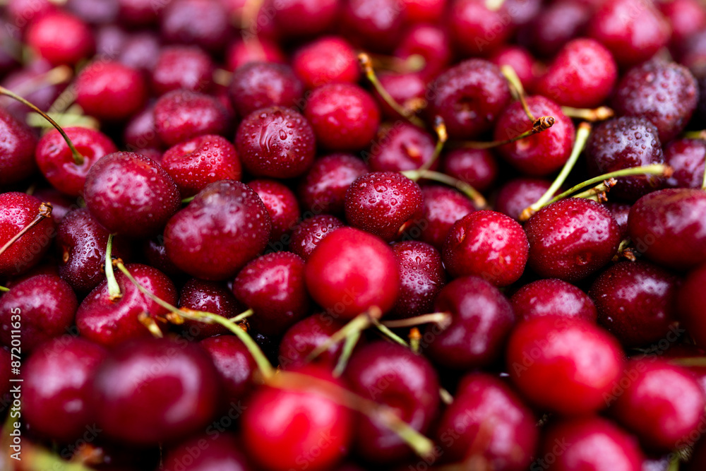 Cherry with drops of water, background, texture. Lots of cherries, top view. Cherry for background and screensaver. Cherry berry wallpaper, background. Bunch of red cherries with water drops. Cherry with drops of water, background, texture. Lots of cherries, top view. Cherry for background and screensaver. Cherry berry wallpaper, background. Bunch of red cherries with water drops.