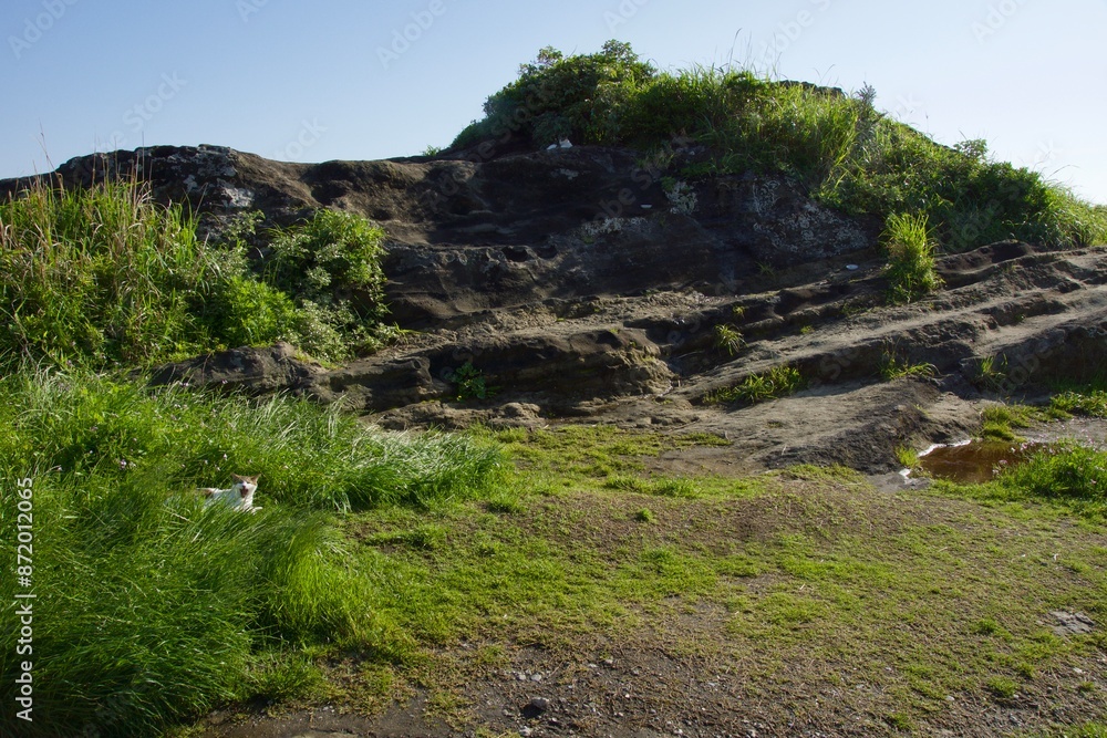 城ヶ島　城ヶ島公園の春の風景