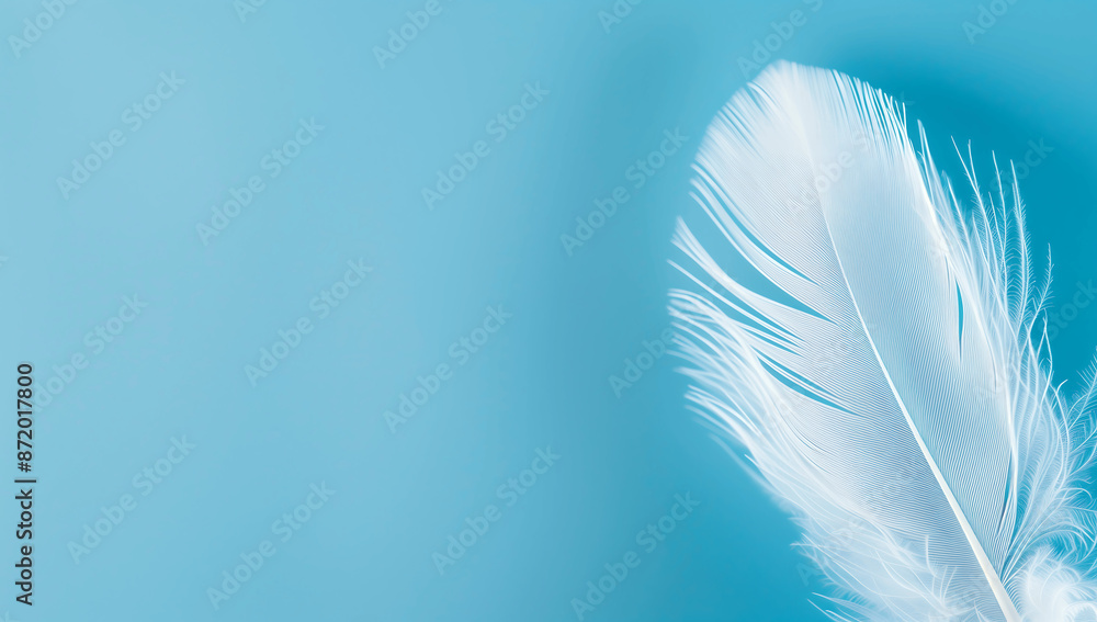 Fototapeta premium Single White Feather on a Light Blue Background with Copy Space
