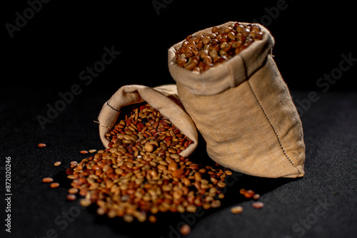 Moth bean and Horse gram photo