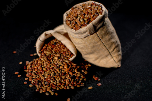 Moth bean and Horse gram photo