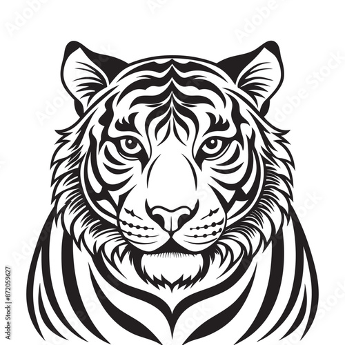 A black and white tiger face