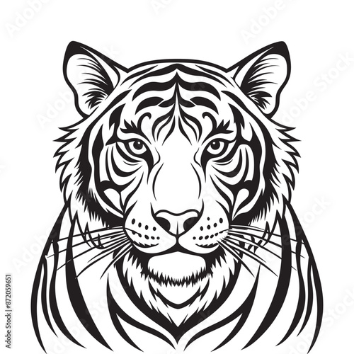 A black and white tiger face