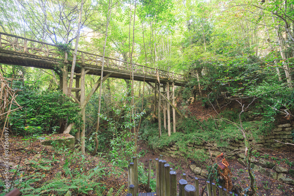 A woodland bridge overlooking lush greenery A woodland bridge overlooking lush greenery