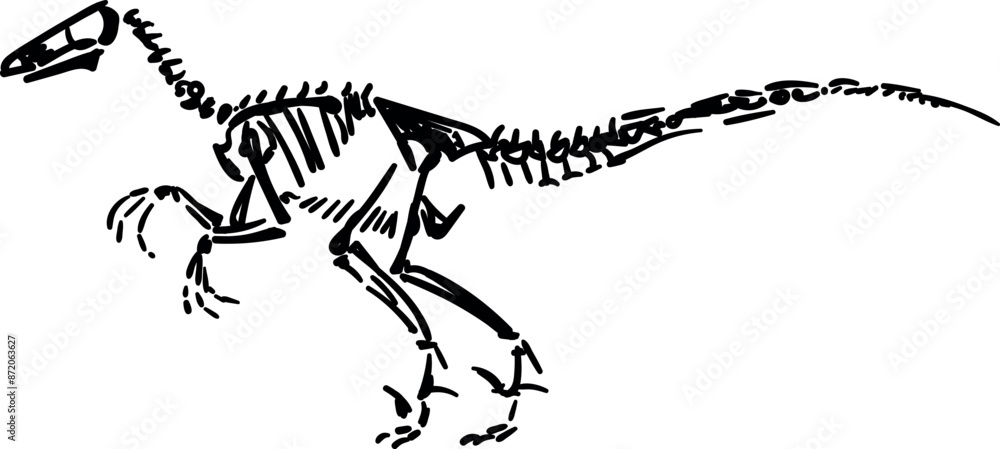 Velociraptor skeletons. Dino bones. Remains of ancient animals vector illustration set