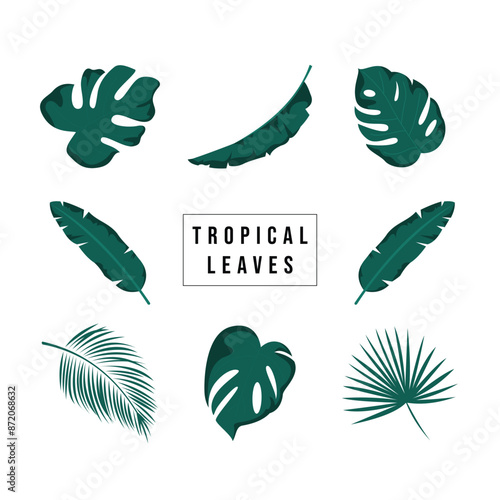 Set of tropical leaves vector. Tropical poster, invitation floral. Vector arrangements for greeting card or invitation design.