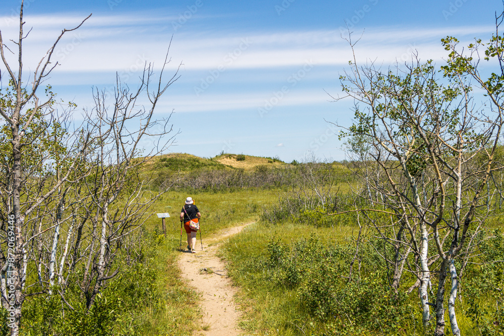 Walking on a trail at Sand Dunes Douglas Provincial Park in Saskatchewan, Canada Walking on a trail at Sand Dunes Douglas Provincial Park in Saskatchewan, Canada