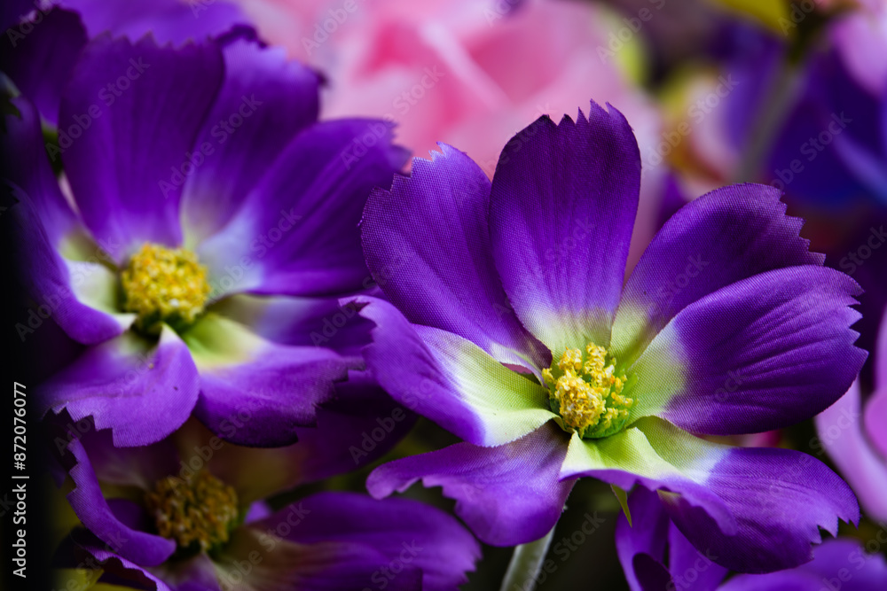 A close up of a purple flower with a yellow center A close up of a purple flower with a yellow center